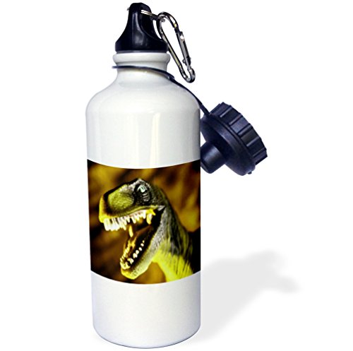 【中古】【未当て嵌める・未開封品】3dRose wb_33195_1 Dump Truck Sports Water Bottle, 21 薬局衡オンス, White by 3dRose [並行輸入品]