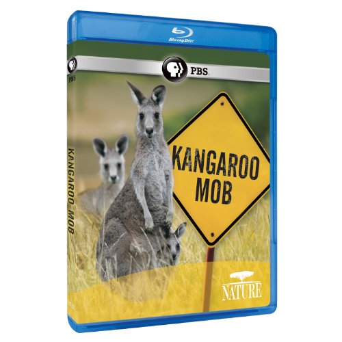 【中古】【未使用・未開封品】Nature: Kangaroo Mob｜AJIMURA-SHOP