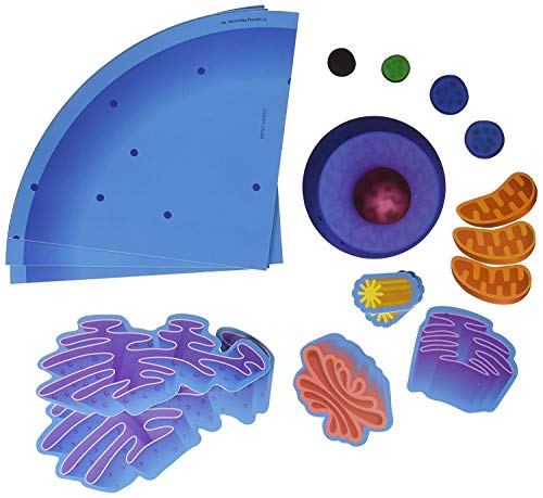 【中古】【未使用・未開封品】Magnetic Animal Cells｜AJIMURA-SHOP
