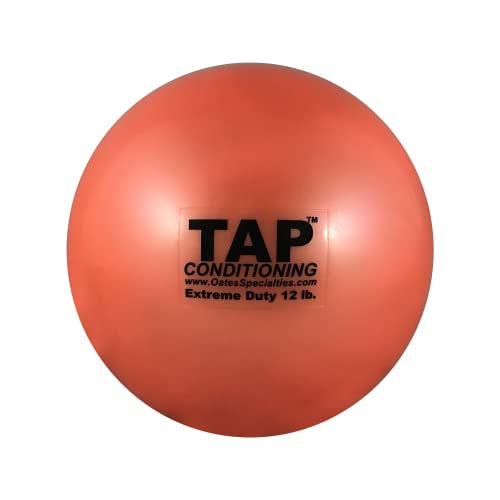 【中古】【未使用・未開封品】TAP Pummel ボール 12ポンド