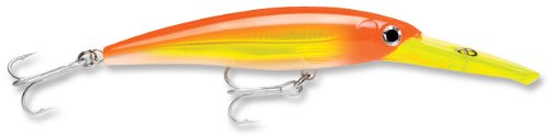 【中古】【未当て嵌める・未開封品】Rapala X-Rap Magnum 10 Fishing lure, 11糎 , Hot Head