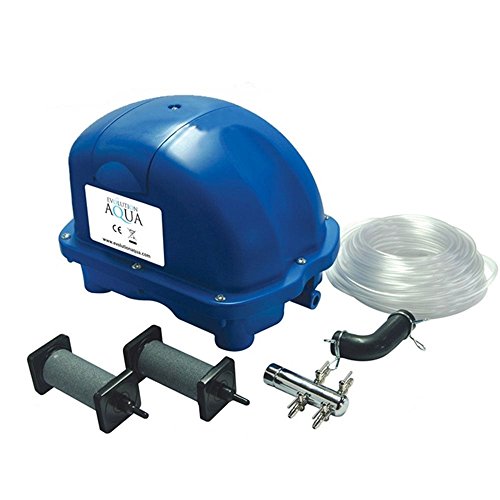 【中古】【未当て嵌める・未開封品】Evolution Aqua大気圏揚水機70一揃いの道具