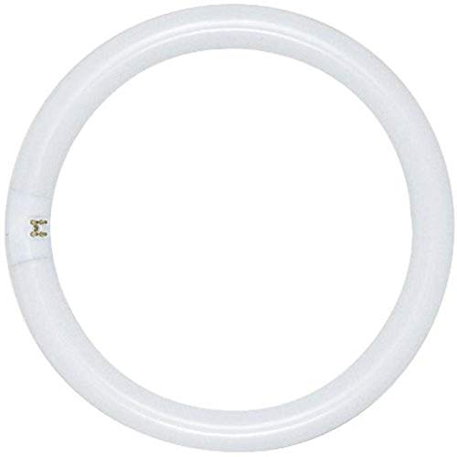 【中古】【未当て嵌める・未開封品】Satco S6509 4100K 20ワット 4いの一番 T9 サークラインランプ クールホワイト