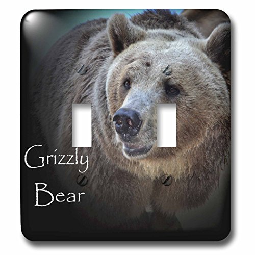 【中古】【未当て嵌める・未開封品】3drose LSP 53660?_ 2?Aの近接写真A Grizzly Bearダブルうつり変わり取り替えっこ スポーツ・アウトドア-その他