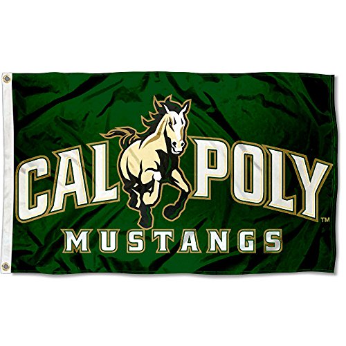 【中古】【未使用・未開封品】Cal Poly Mustangs San Luis Obispo University Large Collegeフラグ