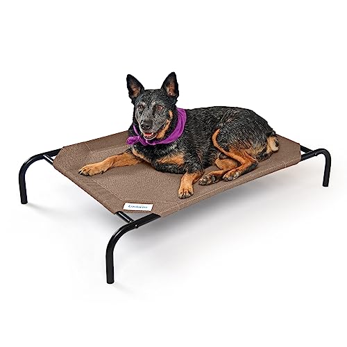 【中古】【未使用・未開封品】Coolaroo 上昇式ペットベッド ナツメグ ハウス-キャット M サイズ