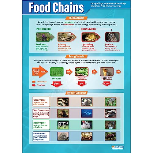 【中古】【未使用・未開封品】Foodチェーン|science教育チャート/ポスターで高光沢用紙(33?\