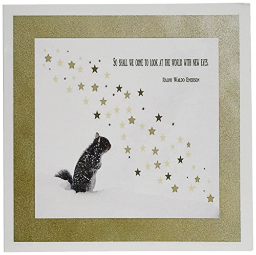 【中古】【未使用・未開封品】ビバリーターナー新しい年???Squirrel、新しい年、エマソンQuote???グリーティングカード Set of 6 Greeting Cards