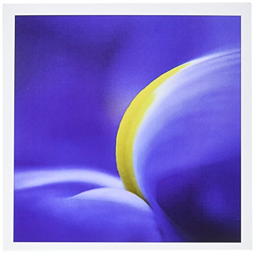 【中古】【未使用・未開封品】Danita Delimont???花???アイリスの花クローズアップブルーフラグの詳細で???na01?bth0001???Brenda Tharp???グリーティングカ