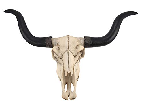 【中古】【未使用・未開封品】Long Horn Cow Skull Wall Hanging Longhorn Steer