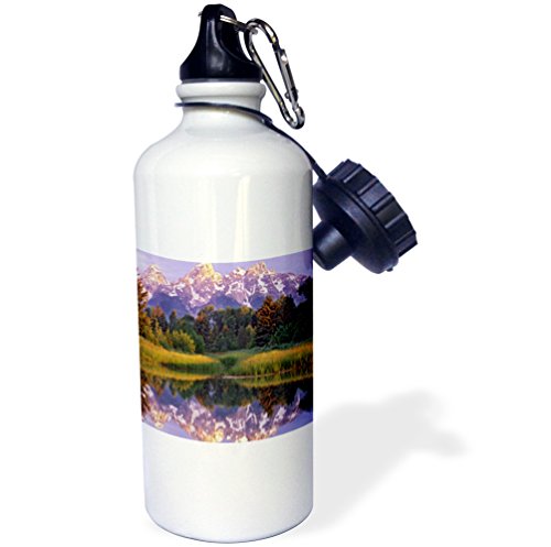 【中古】【未当て嵌める・未開封品】3dRose wb_97715_1 President Teddy Roosevelt on Horseback インチ Yellowstone National Park 1903 Sports Water Bottle, 21 薬局衡オンス, White by 3dRose
