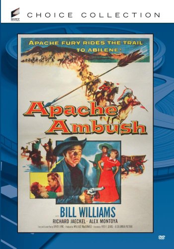 【中古】【未使用・未開封品】Apache Ambush [DVD]