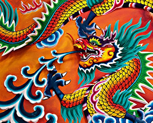 【中古】【未使用・未開封品】Komar DM905 Ideal Decor Dragon 4-Panel Wall Mural by Ideal Decor｜AJIMURA-SHOP 27,494円