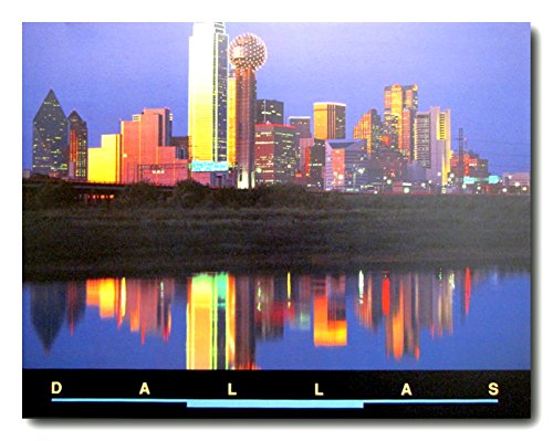 【中古】【未使用・未開封品】ダラステキサスSkyline at Night City壁装飾アートプリントポスター16?x 20