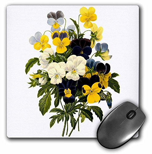 【中古】【未当て嵌める・未開封品】3drose Redouteヴィンテージ水彩画花柄見目麗しいPansies Viola SP???二十日鼠パッド、8?× 8in( MP _ 106732?_ 1?)