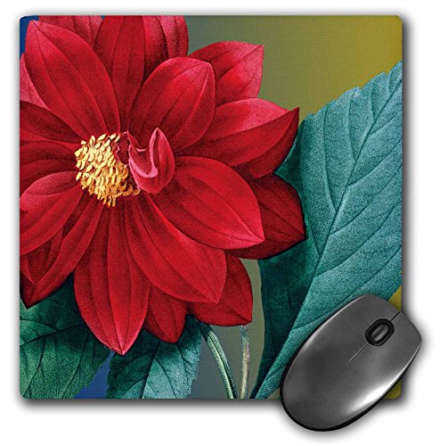 【中古】【未使用・未開封品】3drose LLC 8?x 8?x 0.25インチマウスパッド、Red Dahlia Floral Vintage Flower ( MP _ 123595?_ 1?)