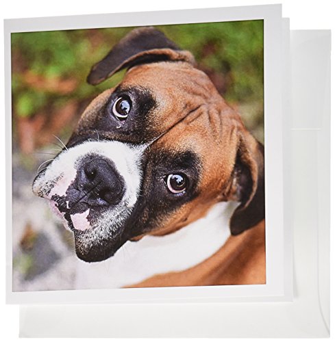 【中古】【未使用・未開封品】カルステンライジンガーイラスト?写真???キュートボクサー犬縦Canine???グリーティングカード Set of 12 Greeting Cards