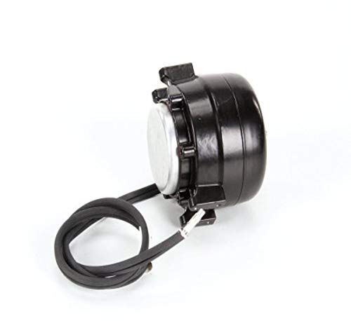 【中古】【未使用・未開封品】True 800439モーター115-volt 60-hertz｜AJIMURA-SHOP