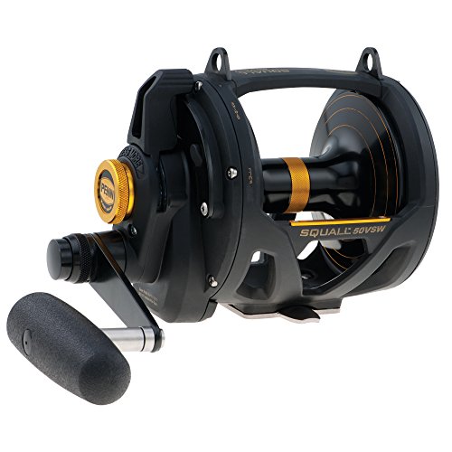 【中古】【未使用・未開封品】ペン (Penn) リール Squall Lever Drag 2 Speed (スコール レベル ドラッグ2 スピード) ベイトリール SQL50VSW IGFA50 [並行輸入品]