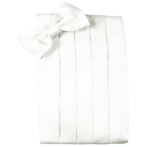 【中古】【未当て嵌める・未開封品】David\u0027s Formal Wear ACCESSORY メンズ US 大きさ: One Size 色つや: 白いこと