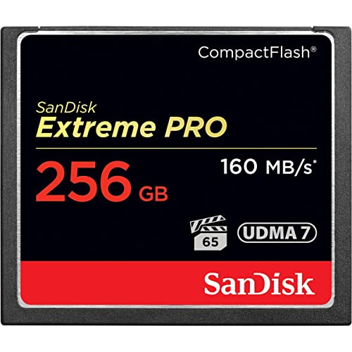 【中古】【未使用・未開封品】XTRM PRO CMPCTFLSH 256GB