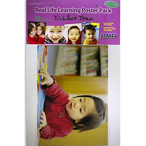 【中古】【未当て嵌める・未開封品】Stages Learning織り地赤ちゃん仕立て上げるペットポスタークラス本物の活動写真のかざり付ける用 SLM165