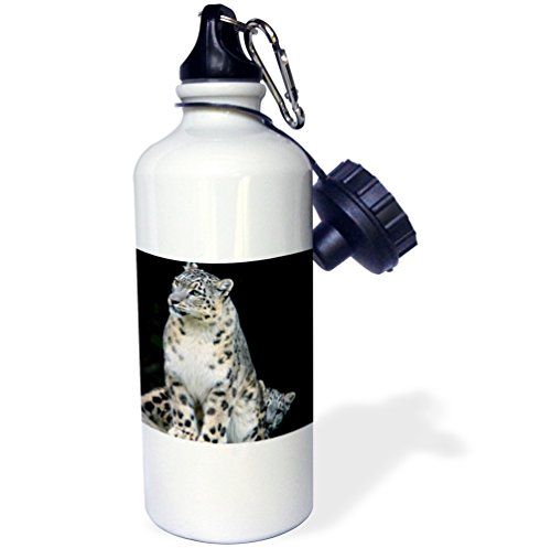 【中古】【未当て嵌める・未開封品】3dRose wb_132849_1 Snow Leopard, Panthera Uncia, Asia-無水亜ヒ酸26 Amr0000-Andres Morya Hinojosa Sports Water Bottle, 21 薬局衡オンス, White by 3dRose [