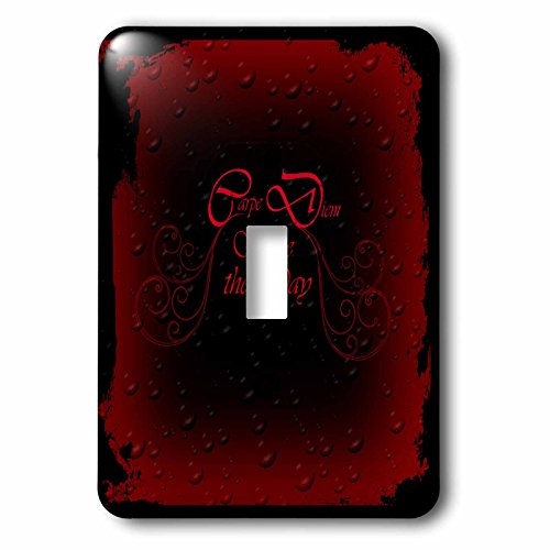 【中古】【未使用・未開封品】3drose LSP _ 165372?_ 1?A Gothデザインwith Carpe Diem Written in Fancy Letter inレッドライトスイッチカバー