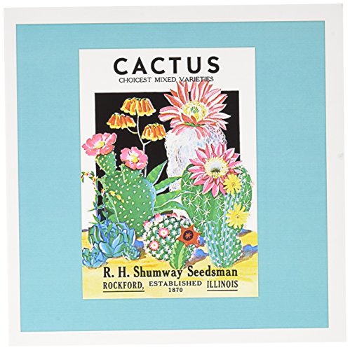 【中古】【未使用・未開封品】BLNシードパケットReproductions???Cactus ChoicestミックスvarietiesシードパケットShumway Seedsman???グリーティングカード Set of 12｜AJIMURA-SHOP