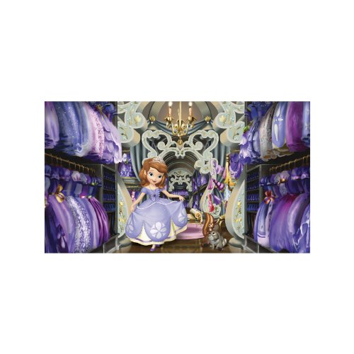 【中古】【未使用・未開封品】RoomMates Sofia'S Closet Removable Wall Mural - 10.5 feet X 6 feet