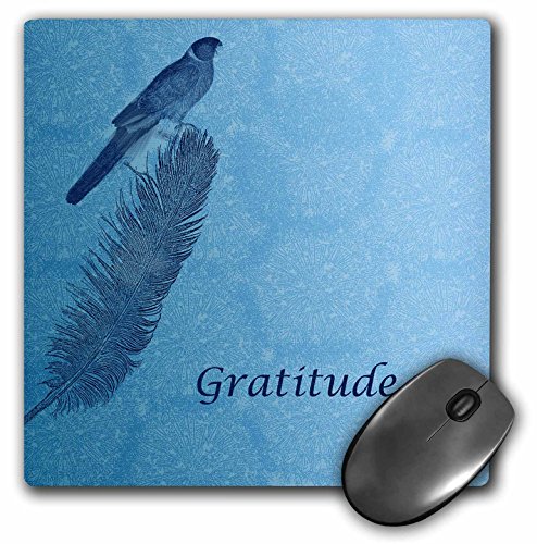 【中古】【未使用・未開封品】3drose LLC 8?x 8?x 0.25インチマウスパッドGratitudeブルーBird onフェザーインスピレーションアート( MP _ 178993?_ 1?)