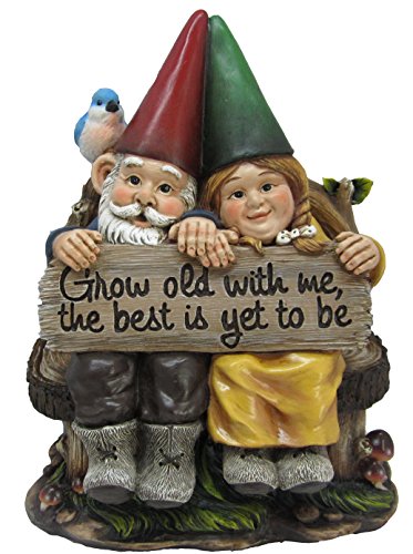 【中古】【未使用・未開封品】IH Casa Decor dw-36696?Garden Gnome Couple Statue