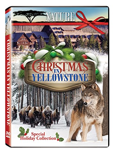 【中古】【未使用・未開封品】Christmas In Yellowstone-Special Edition