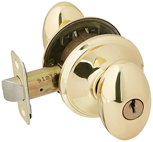 【中古】【未使用・未開封品】Schlage f51-sie Siena Keyedエントリf51?aパニックProofドアノブ、 F51 SIE 505 1