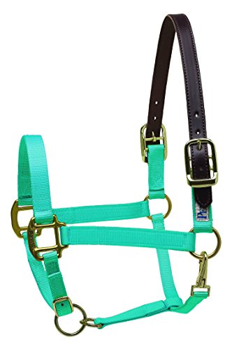 【中古】【未使用・未開封品】(Horse, Turquoise) - Perri's Premium Nylon Safety Halter