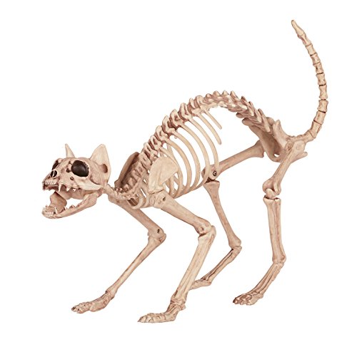 【中古】【未使用・未開封品】Skeleton Cat スケルトン猫♪ハロウィン♪クリスマス♪