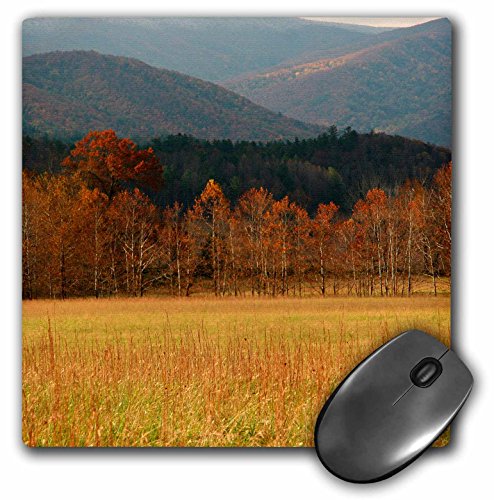 【中古】【未当て嵌める・未開封品】3drose亜米利加、テネシー州。Cades Cove インチ Smoky Mountain National Park。二十日鼠パッド、8?\" x 8?\"" ( MP _ 189443?_ 1?)"
