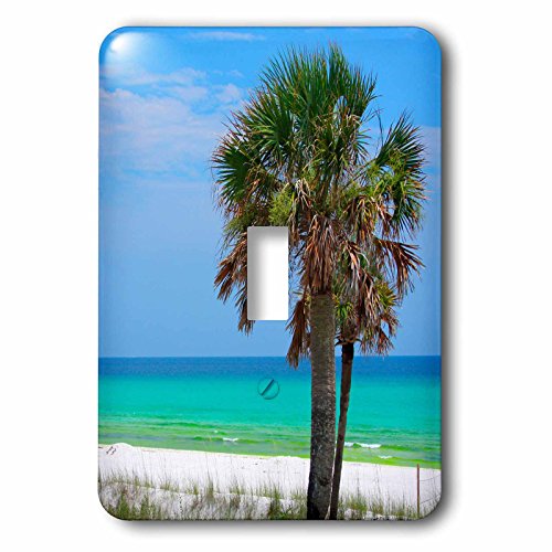 【中古】【未使用・未開封品】3dローズLSP 189478?_ 1?USA、フロリダ州。Palm Trees on Emerald Coast near Destin。???Single切り替えスイッチ｜AJIMURA-SHOP 9,391円