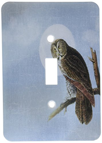 【中古】【未当て嵌める・未開封品】3drose LSP _ 186780?_ 1?Owl and Moon Singleうつり変わり取り替えっこ