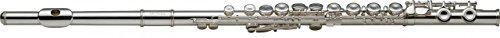 【中古】【未当て嵌める・未開封品】Stagg WS-FL231 Flute, C キッチン用品・食器・調理器具-その他