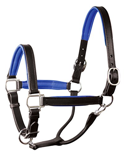 【中古】【未使用・未開封品】(2.5cm Horse, Black/Blue) - Perri's Padded Halter