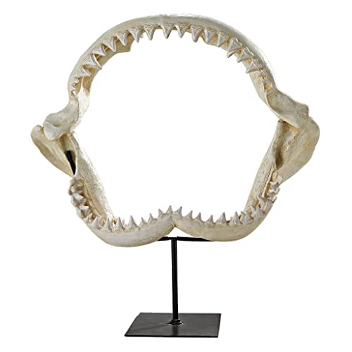 【中古】【未使用・未開封品】Design Toscano Shark's Jagged Jaws Statue, Ivory