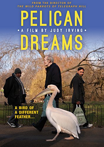 【中古】【未使用・未開封品】Pelican Dreams [DVD] [Import] 16,949円