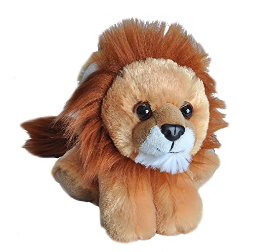【中古】【未使用・未開封品】Wild Republic 18cm Hug'ems Lion Plush Toy (brown)｜AJIMURA-SHOP