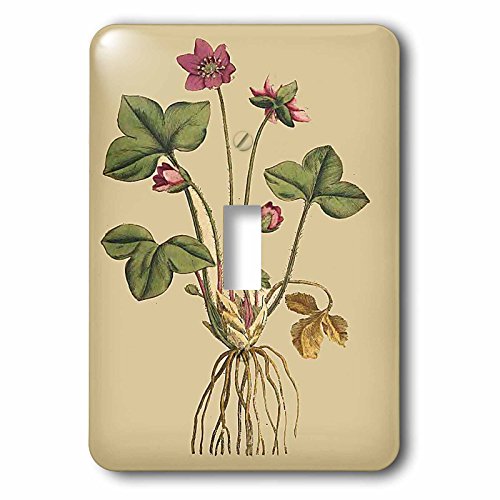 【中古】【未当て嵌める・未開封品】3drose LSP _ 204747?_ 1刷り上げるのNoble Liverwort草木から1700?Singleうつり変わり取り替えっこ