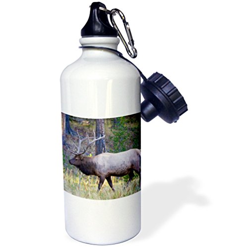 【中古】【未使用・未開封品】ローズWB 207972?_ 1?" Bull elk grazing in meadow、Canyon領域のイエローストーン国立公園"スポーツウォーターボトル、21オンス、ホワイト|AJIMURA-SHOP