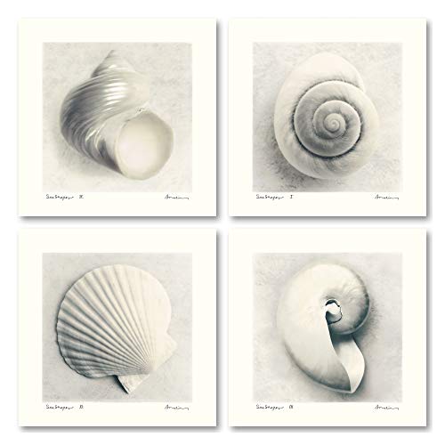 【中古】【未使用・未開封品】海Shapes I Lovely、クラシック海シェルセット; 4つ12?x 12プリントポスター Four 12x12in Poster Prints