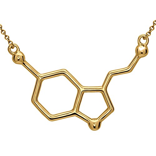 【中古】【未使用・未開封品】セロトニン分子ネックレスbyシルバーPhantomジュエリー|AJIMURA-SHOP