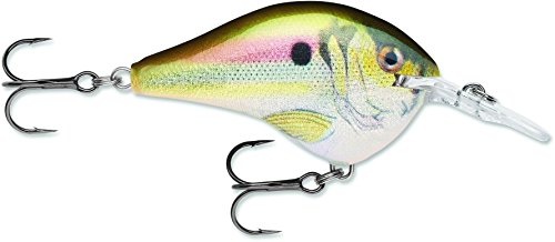【中古】【未使用・未開封品】Rapala dives-to 06?Live川Shad Lure