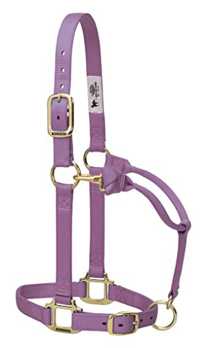 【中古】【未使用・未開封品】(Yearling Horse, Lavender) - Weaver Leather Adjustable Horse Halter